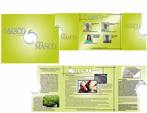 3766611606_1476a5ac97 masco brochure