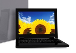 Digital Photo of Sunflowers on Laptop