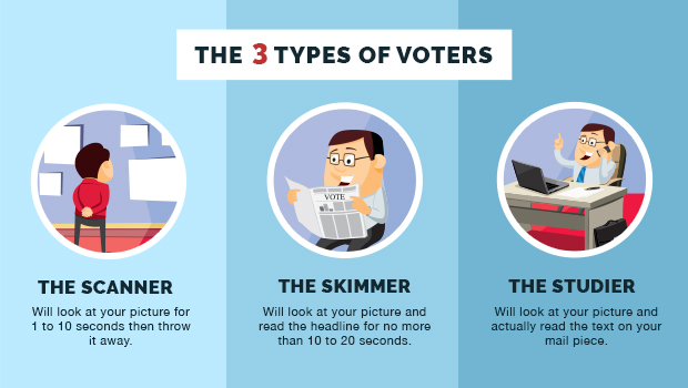 infographics three types of campaign voters